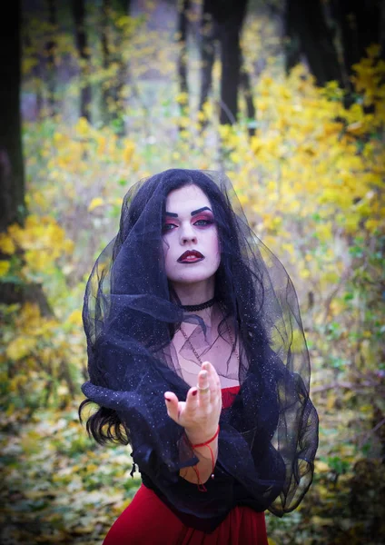 La imagen de una bruja para Halloween . — Foto de Stock