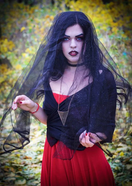 La imagen de una bruja para Halloween . — Foto de Stock