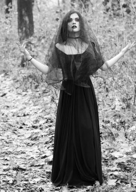 Bir cadı Cadılar Bayramı için görüntü.