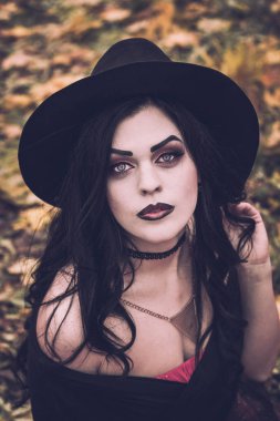 Bir cadı Cadılar Bayramı için görüntü.