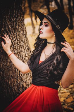 Bir cadı Cadılar Bayramı için görüntü.