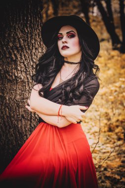 Bir cadı Cadılar Bayramı için görüntü.