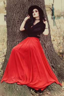 Bir cadı Cadılar Bayramı için görüntü.