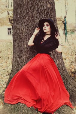 Bir cadı Cadılar Bayramı için görüntü.