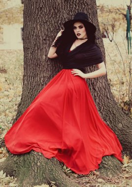 Bir cadı Cadılar Bayramı için görüntü.