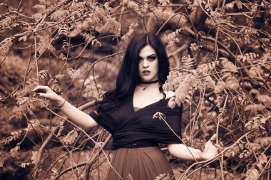 Bir cadı Cadılar Bayramı için görüntü.