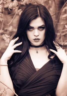 Bir cadı Cadılar Bayramı için görüntü.