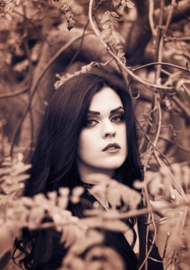 Bir cadı Cadılar Bayramı için görüntü.