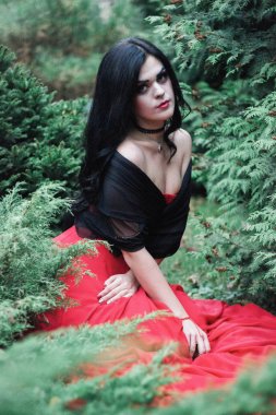 Bir cadı Cadılar Bayramı için görüntü.