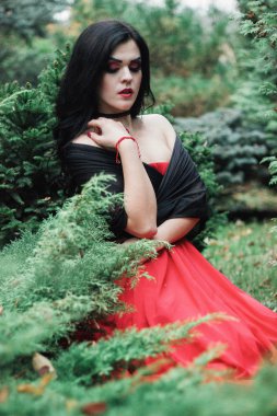 Bir cadı Cadılar Bayramı için görüntü.