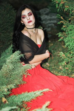 Bir cadı Cadılar Bayramı için görüntü.