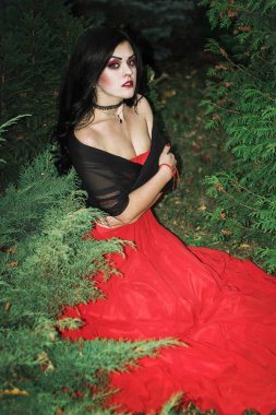 Bir cadı Cadılar Bayramı için görüntü.