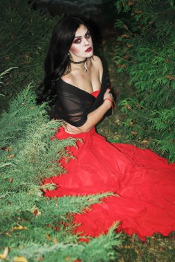 Bir cadı Cadılar Bayramı için görüntü.