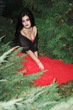 Bir cadı Cadılar Bayramı için görüntü.