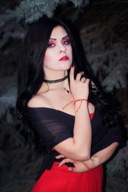 Bir cadı Cadılar Bayramı için görüntü.