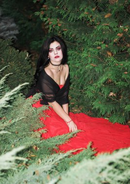 Bir cadı Cadılar Bayramı için görüntü.