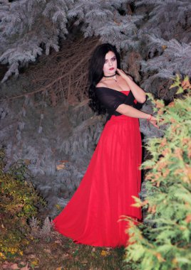 Bir cadı Cadılar Bayramı için görüntü.