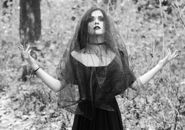 L'image d'une sorcière pour Halloween . — Photo
