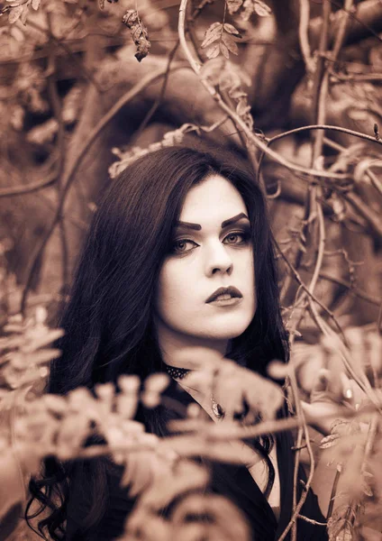 Bir cadı Cadılar Bayramı için görüntü.