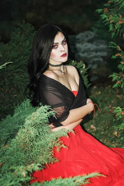 Bir cadı Cadılar Bayramı için görüntü.