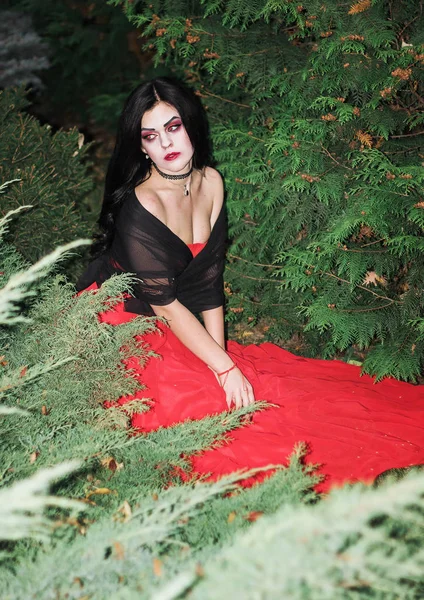 La imagen de una bruja para Halloween . — Foto de Stock