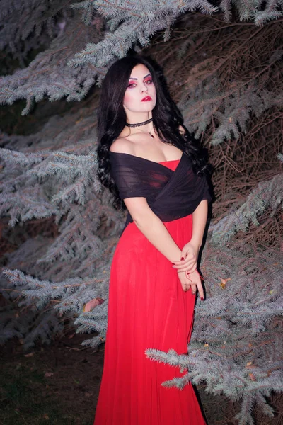 La imagen de una bruja para Halloween . — Foto de Stock