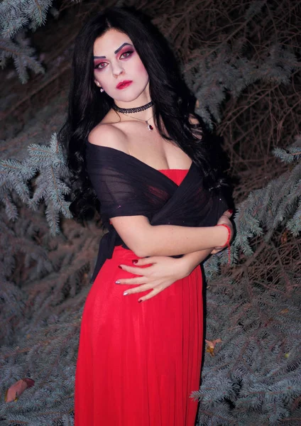 Bir cadı Cadılar Bayramı için görüntü.