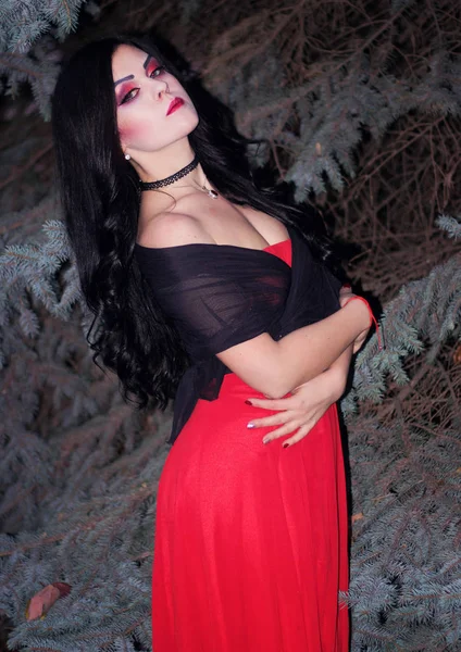 Bir cadı Cadılar Bayramı için görüntü.