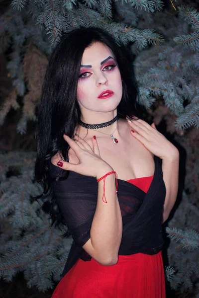 Bir cadı Cadılar Bayramı için görüntü.