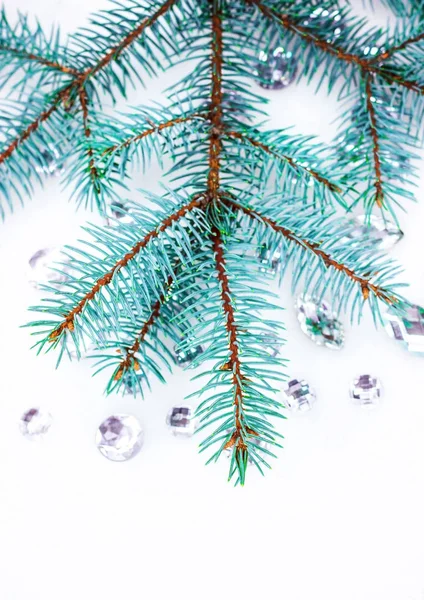 Mavi ladin şube ile dekorasyon için kristalleri.