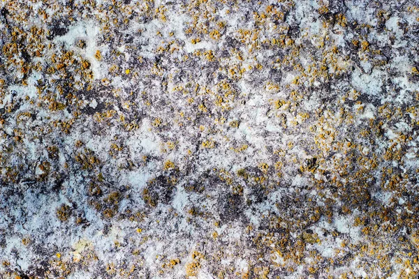 Stone texture close-up — Stock Photo, Image