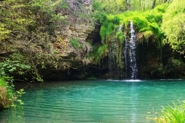 Tropikal Ormanda Saklı Şelale