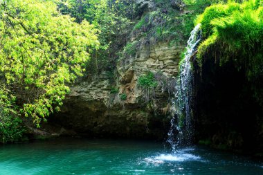 Svartifoss, Kara Şelale İzlanda