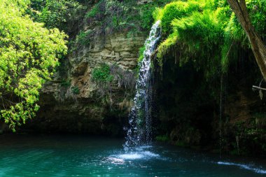 Dağlarda şelale, bitkiler ve bir sürü yeşillik