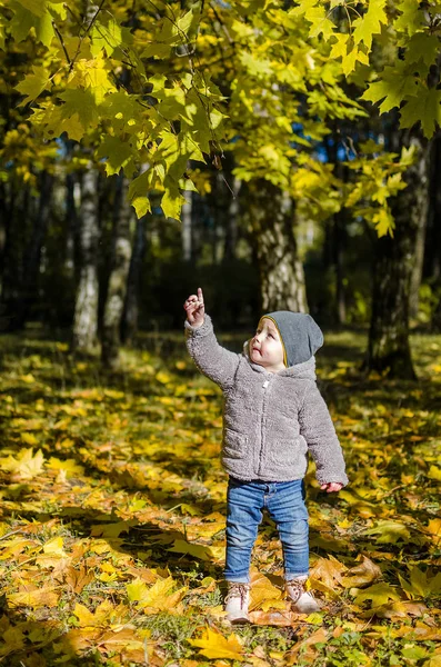 Az őszi erdő kis gyerek — Stock Fotó