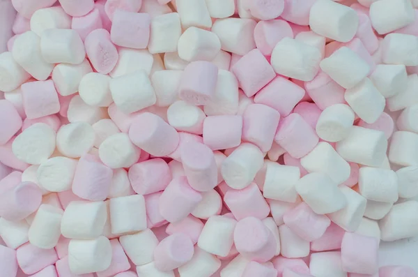 Fond mini guimauves rose et blanc — Photo