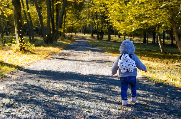 Niño pequeño en el bosque de otoño Imagen de archivo