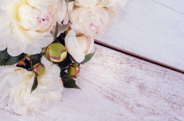 Şakayık yatay arka plan