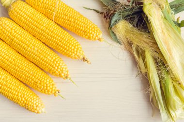 Mısır arka plan üzerinde olgunlaşmış kulaklar