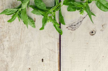 arka plan fesleğen yaprağı