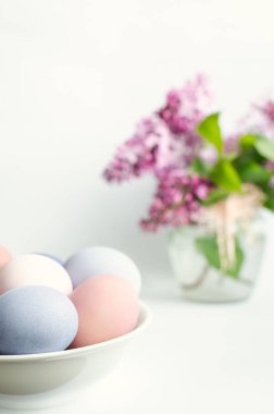 Paskalya yumurta ve leylak arka plan