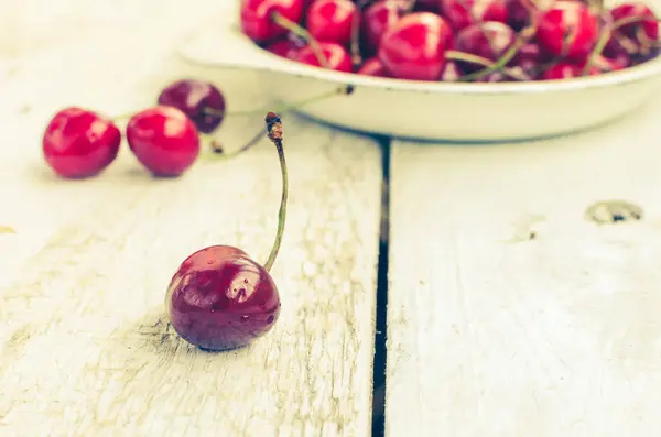 Cereza silvestre dulce alegre — Foto de Stock