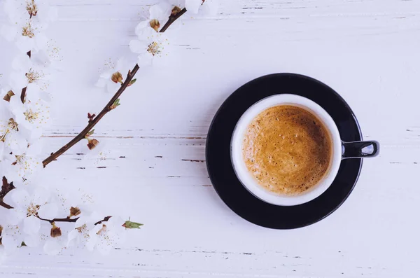 Coffee and cherry blossom — Stock Photo, Image