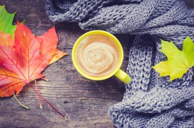 Sonbahar sakin bir hayat