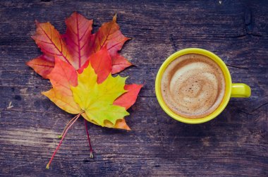 parlak sonbahar arkaplanı