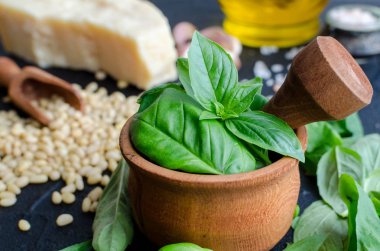 Yeşil fesleğen pesto malzemeler