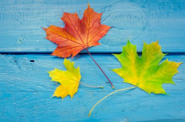 sonbahar yaprakları ile sonbahar arka plan