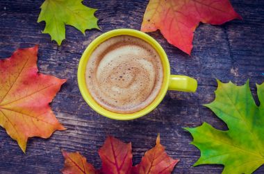 parlak sonbahar arkaplanı