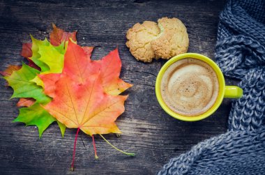 Sonbahar sakin bir hayat