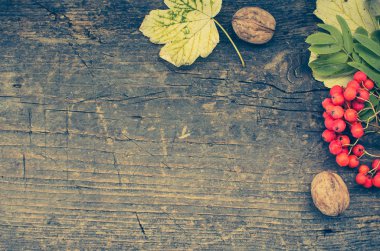 Şükran sonbahar arka plan